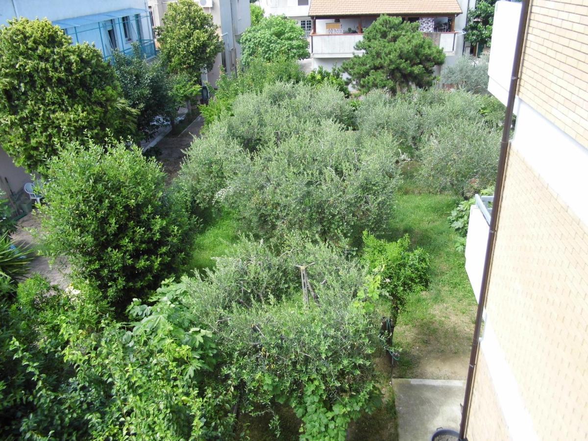 לינה וארוחת בוקר Tortoreto A Casa Di Nelly מראה חיצוני תמונה